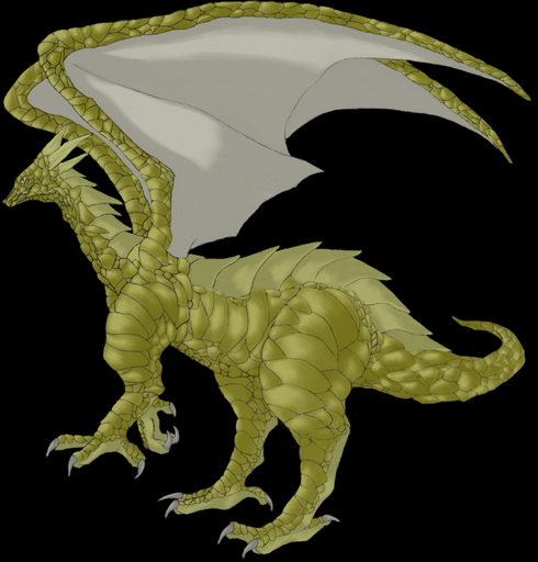 �h��c�������B